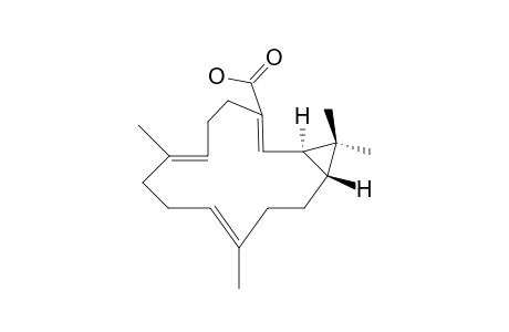 YUEXIANDAJISU-B;COMPUOND-#2