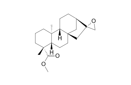 METHYL-ENT-KAURAN-16-BETA,17-EPOXY-19-OATE