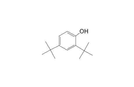 2,4-Di-tert-butylphenol