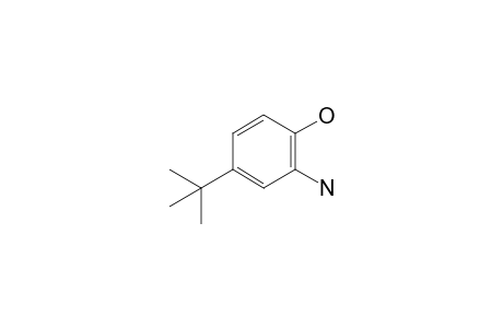 2-Amino-4-tert-butylphenol