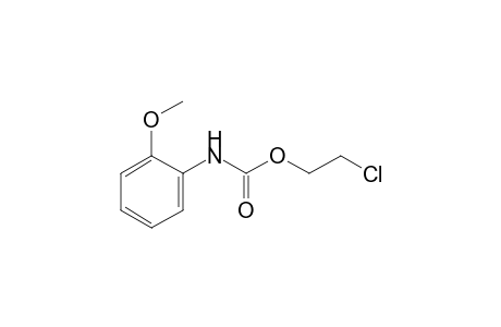 o-methoxycarbanilic acid, 2-chloroethyl ester