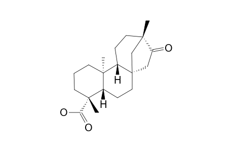 ISOSTEVIOL;ENT-16-OXOBEYERAN-19-OIC_ACID