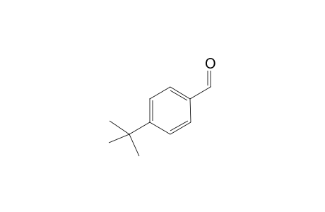 4-tert-Butylbenzaldehyde