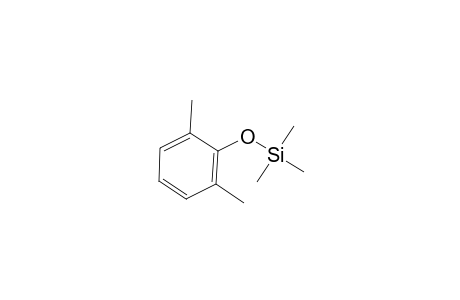 Phenol <2,6-dimethyl->, mono-TMS