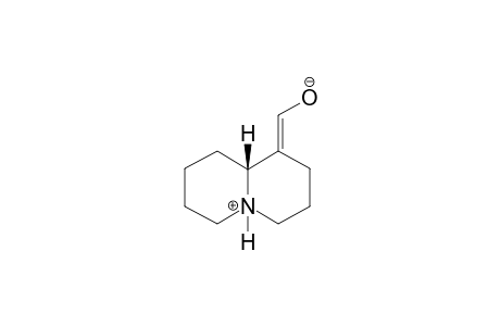 Epilupinine