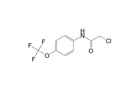 acetamide, 2-chloro-N-[4-(trifluoromethoxy)phenyl]-