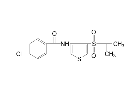 p-chloro-N-[4-(isopropylsulfonyl)-3-thienyl]benzamide