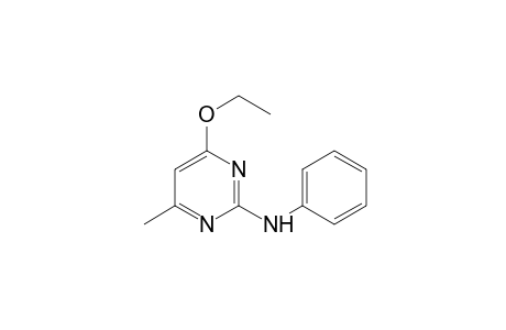 2-anilino-4-ethoxy-6-methylpyrimidine