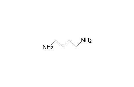 Putrescine (1,4-diaminobutane)