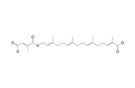 BOLETININ_J