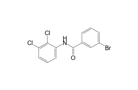 3-bromo-2',3'-dichlorobenzanilide