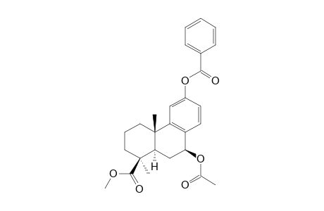 METHYL-7-BETA-ACETOXY-12-BENZOYLOXY-PODOCARPA-8,11,13-TRIEN-19-OATE