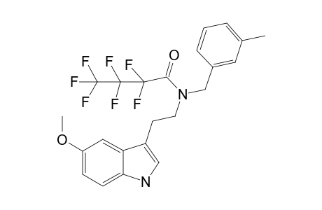 5MT-NB3Me HFB