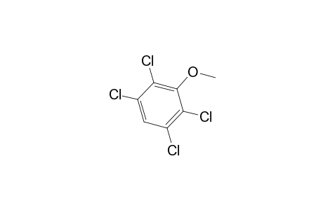 2,3,5,6-Tetrachloroanisole