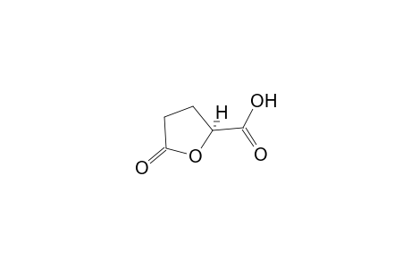 (2S)-5-Oxotetrahydro-2-furancarboxylic acid