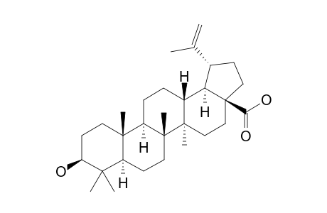 Betulinic acid