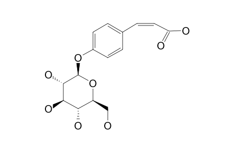 CIS-PARA-COUMARIC-ACID-4-O-BETA-D-GLUCOPYRANOSIDE