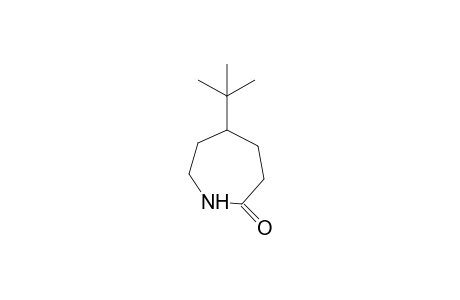 5-tert-butylhexahydro-2H-azepin-2-one