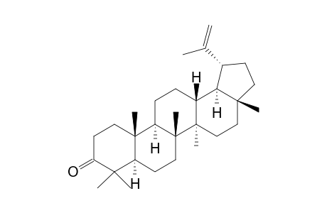 LUPENON