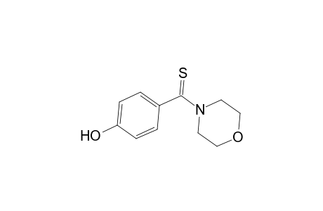 4-[p-hydroxy(thiobenzoyl)]morpholine