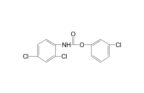 2,4-dichlorocarbanilic acid, m-chlorophenyl ester