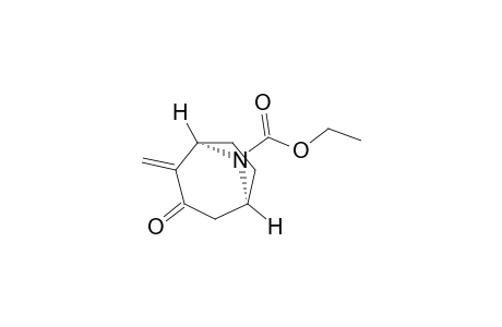 (1R*,5S*)-2-METHYLENE-3-OXO-8-AZABICYCLO-[3.2.1]-OCTANE-8-CARBOXYLIC-ACID-ETHYLESTER