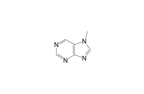 7-Methyl-purine