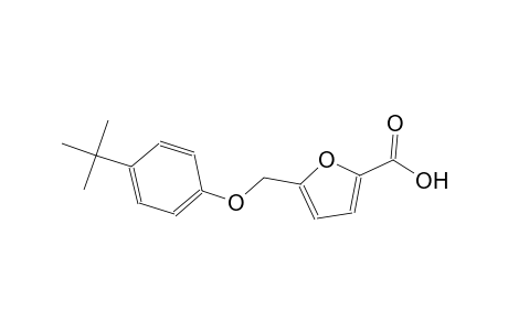 5-[(4-tert-Butylphenoxy)methyl]-2-furoic acid