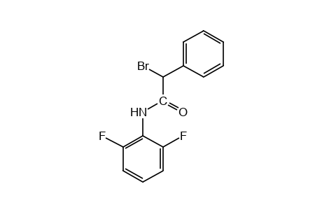 2-bromo-2',6'-difluoro-2-phenylacetanilide