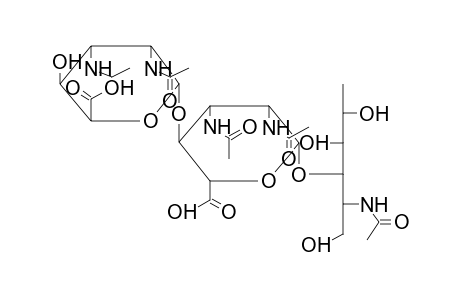 OLIGOSACCHARIDE 1 (FROM PSEUDOMONAS AERUGINOSA)