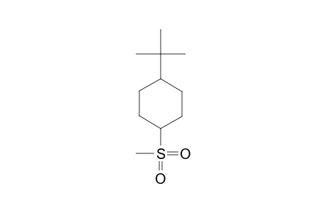 TRANS-4-TERT.-BUTYLCYCLOHEXYL-1-METHYLSULFON