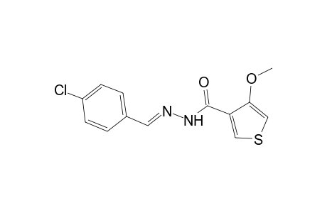 Thiophene-3-carbohydrazide, N2-(4-chlorobenzylidene)-4-methoxy-