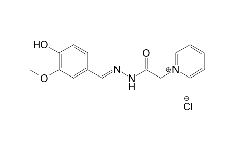 Pyridinium, 1-[2-[[(4-hydroxy-3-methoxyphenyl)methylene]hydrazino]-2-oxoethyl]-, chloride