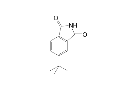 5-tert-Butyl-1H-isoindole-1,3(2H)-dione