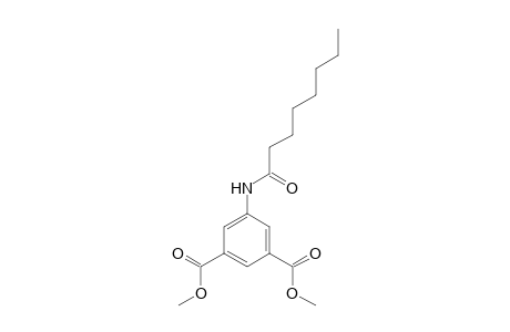 5-(1-oxooctylamino)benzene-1,3-dicarboxylic acid dimethyl ester