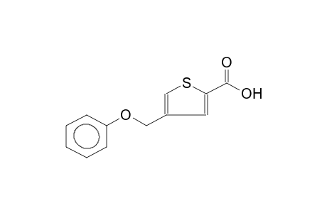 4-(Phenoxymethyl)-2-thiophen-carboxylic-acid