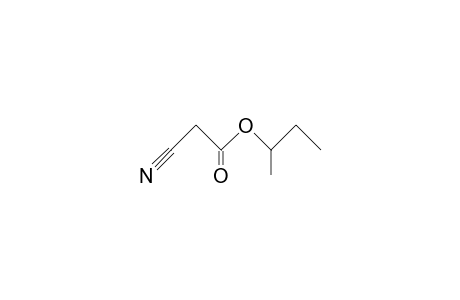 cyanoacetic acid, sec-butyl ester