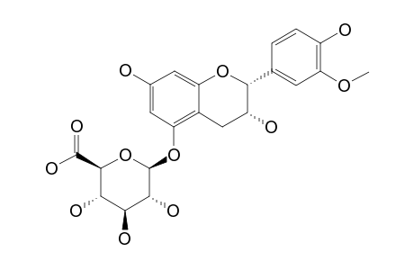 3'-O-METHYLEPICATECHIN-5-O-BETA-D-GLUCURONIDE