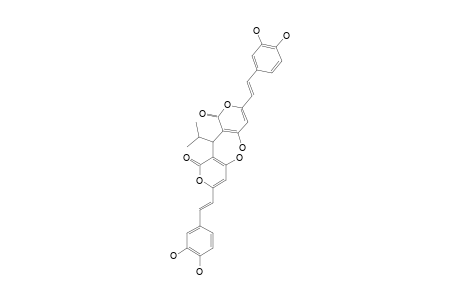 PHAEOLSCHIDIN_A;(E)-3,3'-(2-METHYLPROPANE-1,1-DIYL)-BIS-(6-((E)-3,4-DIHYDROXYSTYRYL)-4-HYDROXY-2-ONE)