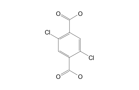 2,5-Dichloroterephthalic acid