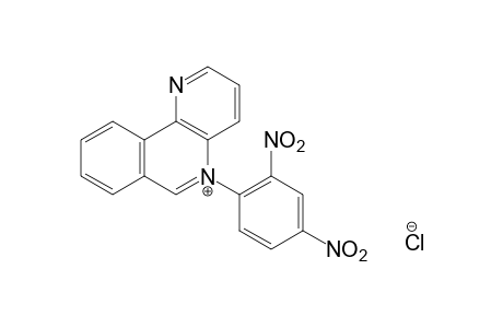 5-(2,4-dinitrophenyl)benzo[c]-1,5-naphthyridinium chloride