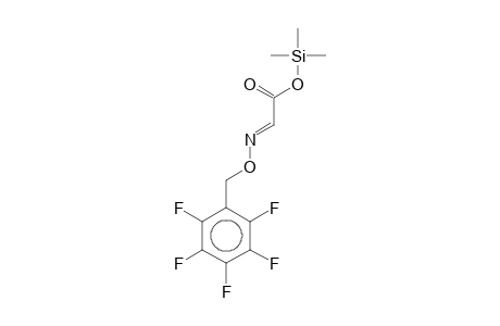 Glyoxylic acid, O-pentafluorobenzyloxime, trimethylsilyl ester