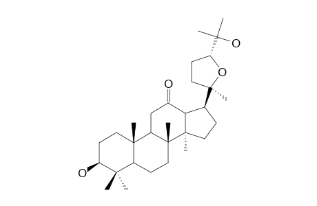 NEOALSOGENIN-G;20S,24R-EPOXY-3-BETA,25-DIHYDROXY-DAMMARAN-12-ONE