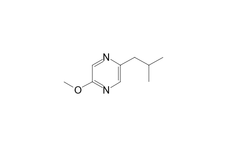 2-isobutyl-5-methoxy-pyrazine