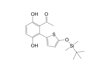 2-(2-Acetyl-1,4-dihydroxy-3-phenyl)-5-(tert-butyldimethylsilyloxy)-1H-thiophene