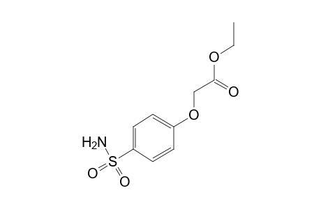 (p-sulfamoylphenoxy)acetic acid, ethyl ester