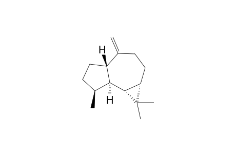 Aromadendrene