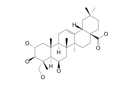 TERMINOLIC ACID ; 2alpha,3beta,6beta,23-TETRAHYDROXYOLEAN-12-EN-28-OIC ACID