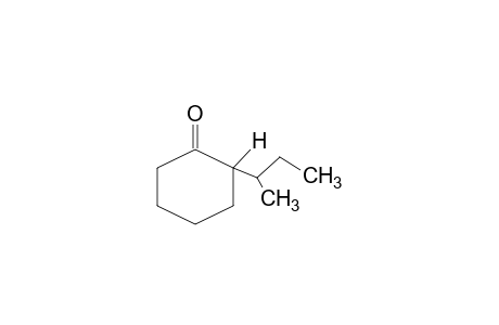 2-Sec-butylcyclohexanone