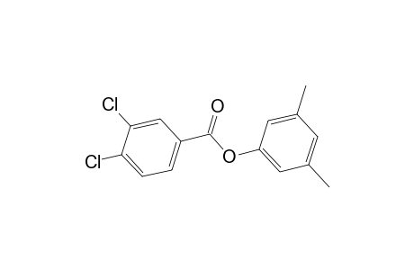 3,5-xylenol, 3,4-dichlorobenzoate